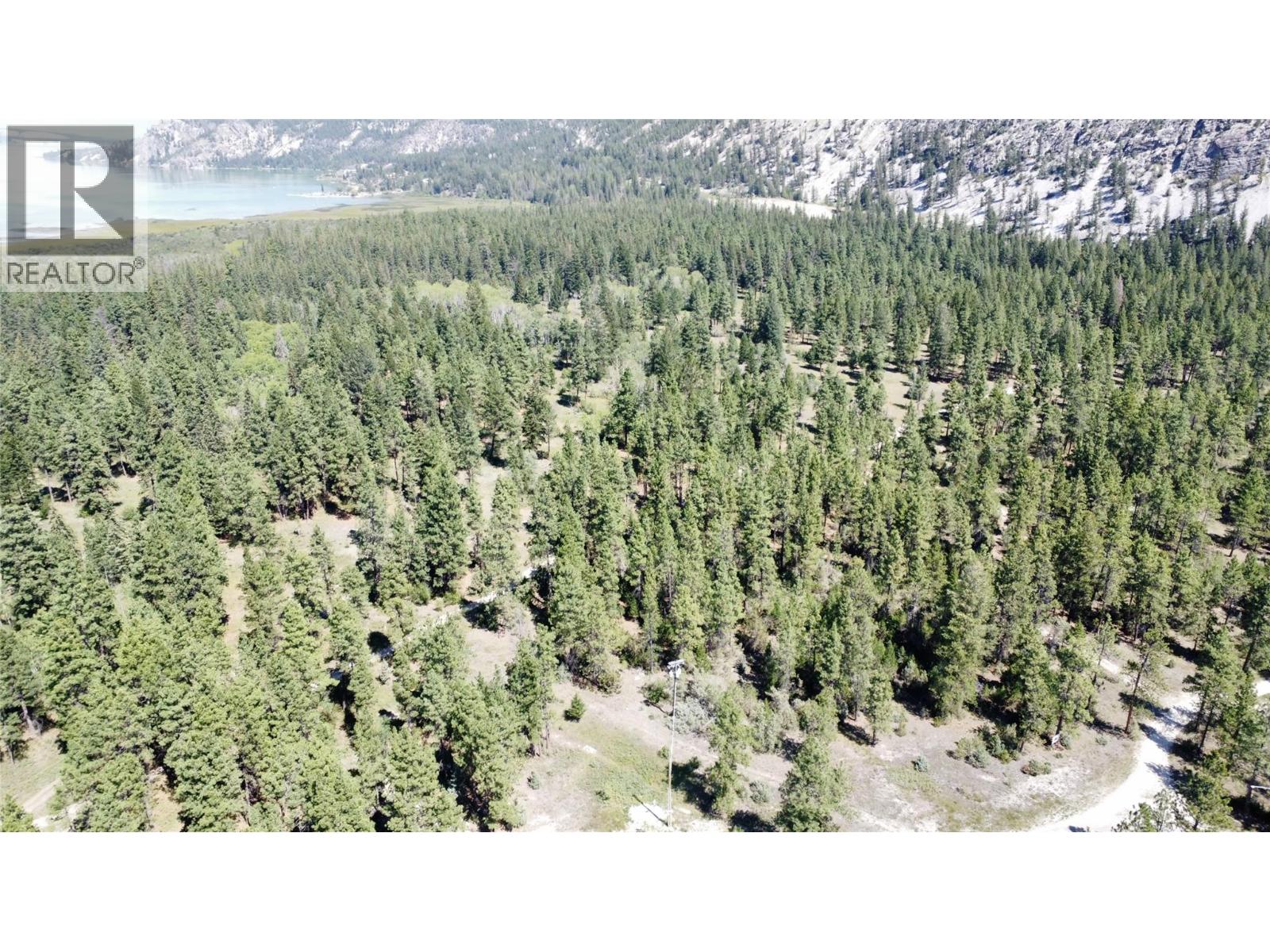 Lot 1 Tamarack Street, Canal Flats, British Columbia  V0B 1B0 - Photo 34 - 10329784