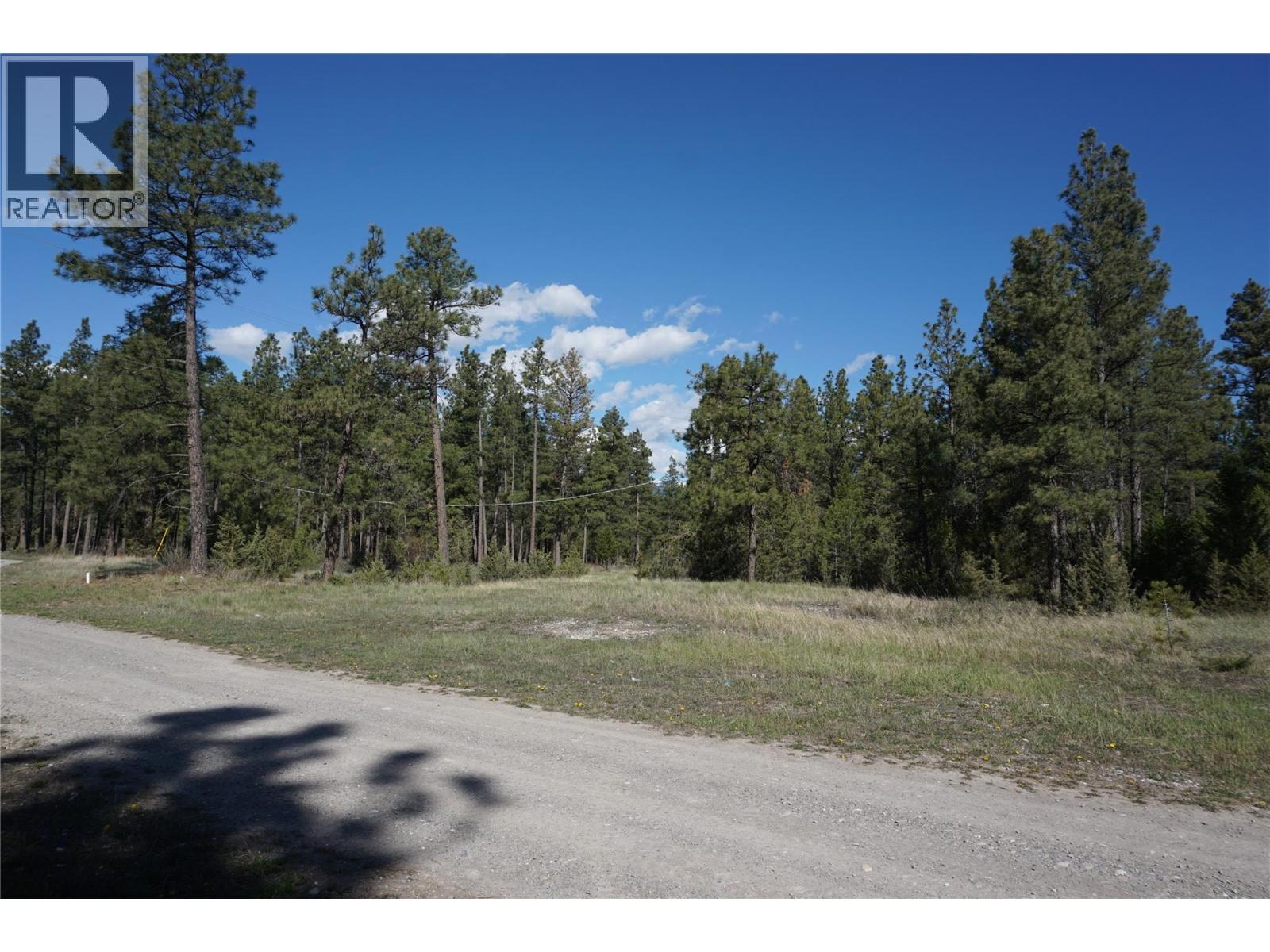 Lot 1 Tamarack Street, Canal Flats, British Columbia  V0B 1B0 - Photo 46 - 10329784