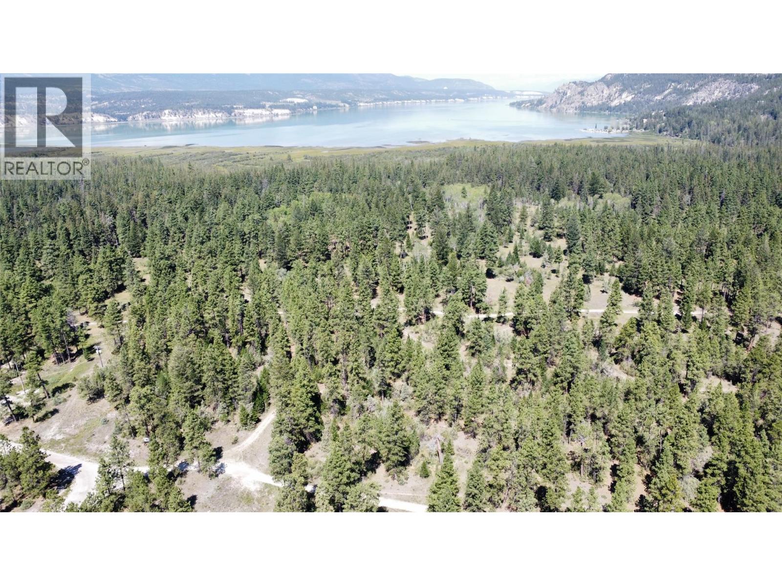 Lot 1 Tamarack Street, Canal Flats, British Columbia  V0B 1B0 - Photo 28 - 10329784