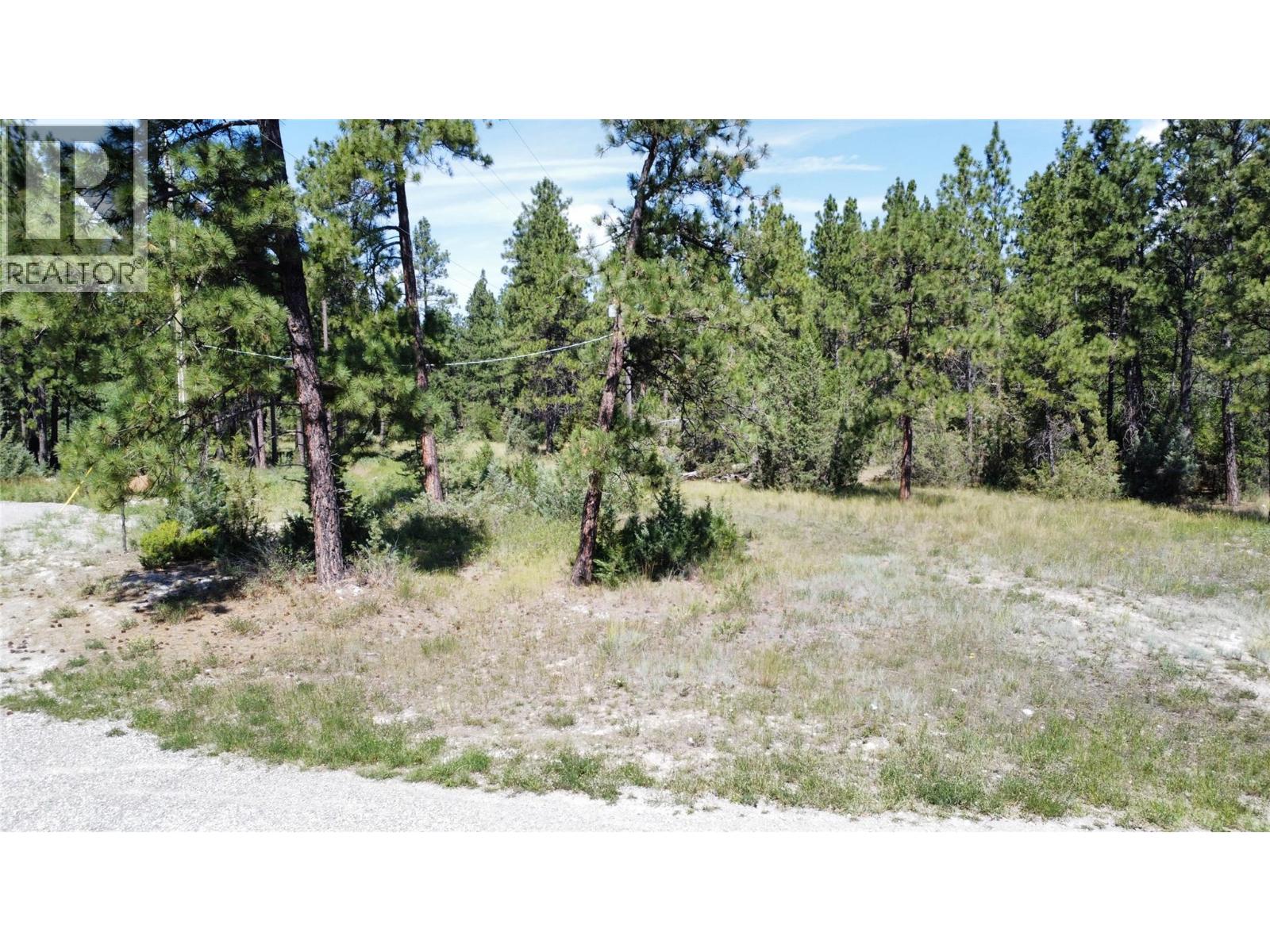 Lot 1 Tamarack Street, Canal Flats, British Columbia  V0B 1B0 - Photo 40 - 10329784