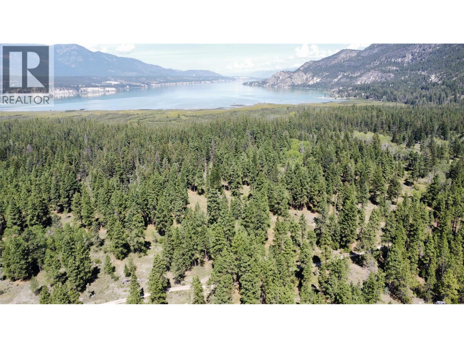 Lot 1 Tamarack Street, Canal Flats, British Columbia  V0B 1B0 - Photo 33 - 10329784