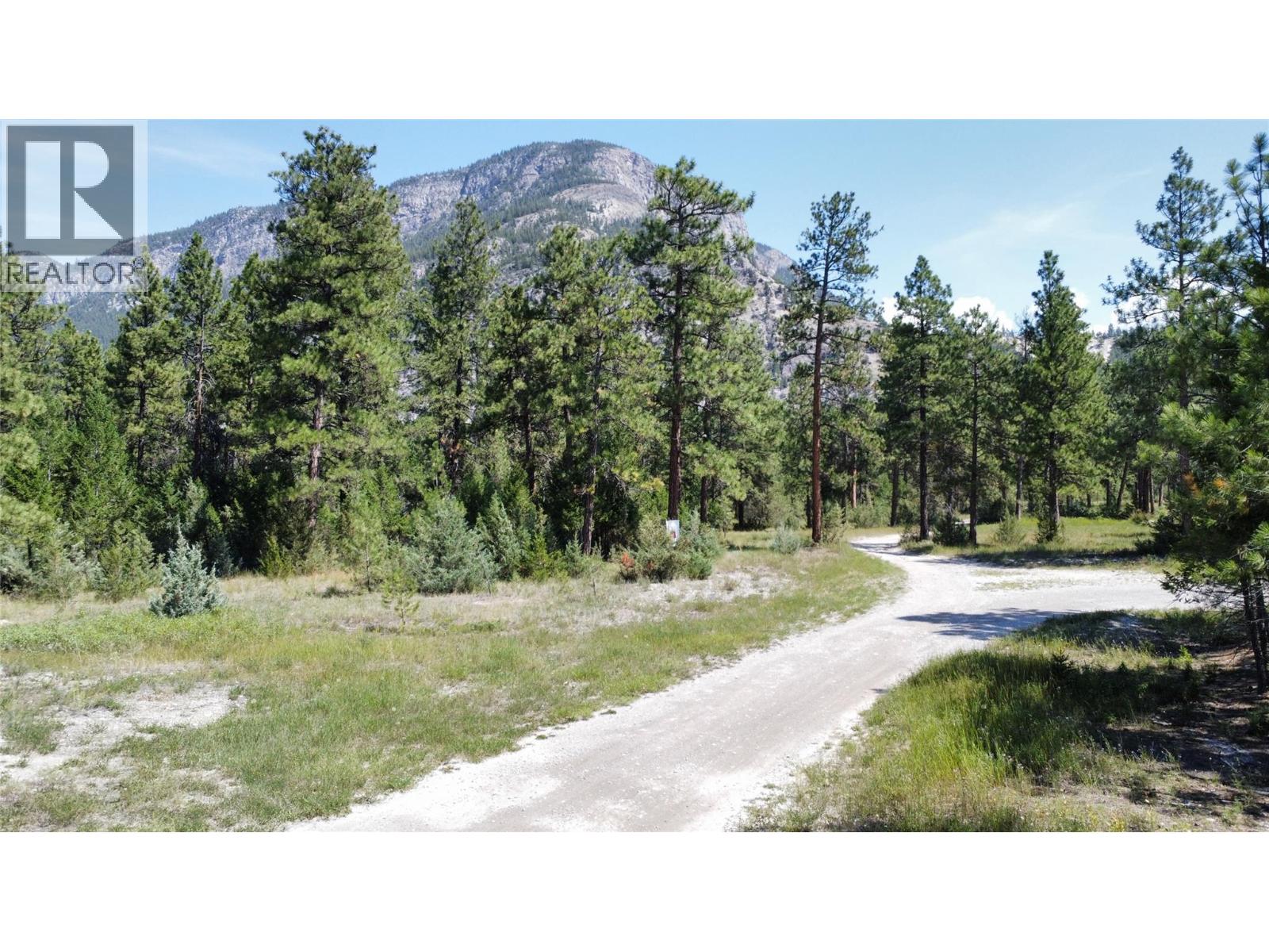 Lot 1 Tamarack Street, Canal Flats, British Columbia  V0B 1B0 - Photo 41 - 10329784