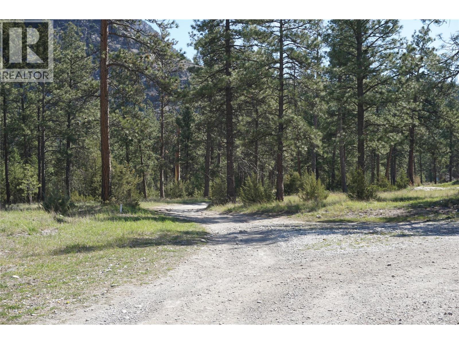 Lot 1 Tamarack Street, Canal Flats, British Columbia  V0B 1B0 - Photo 48 - 10329784