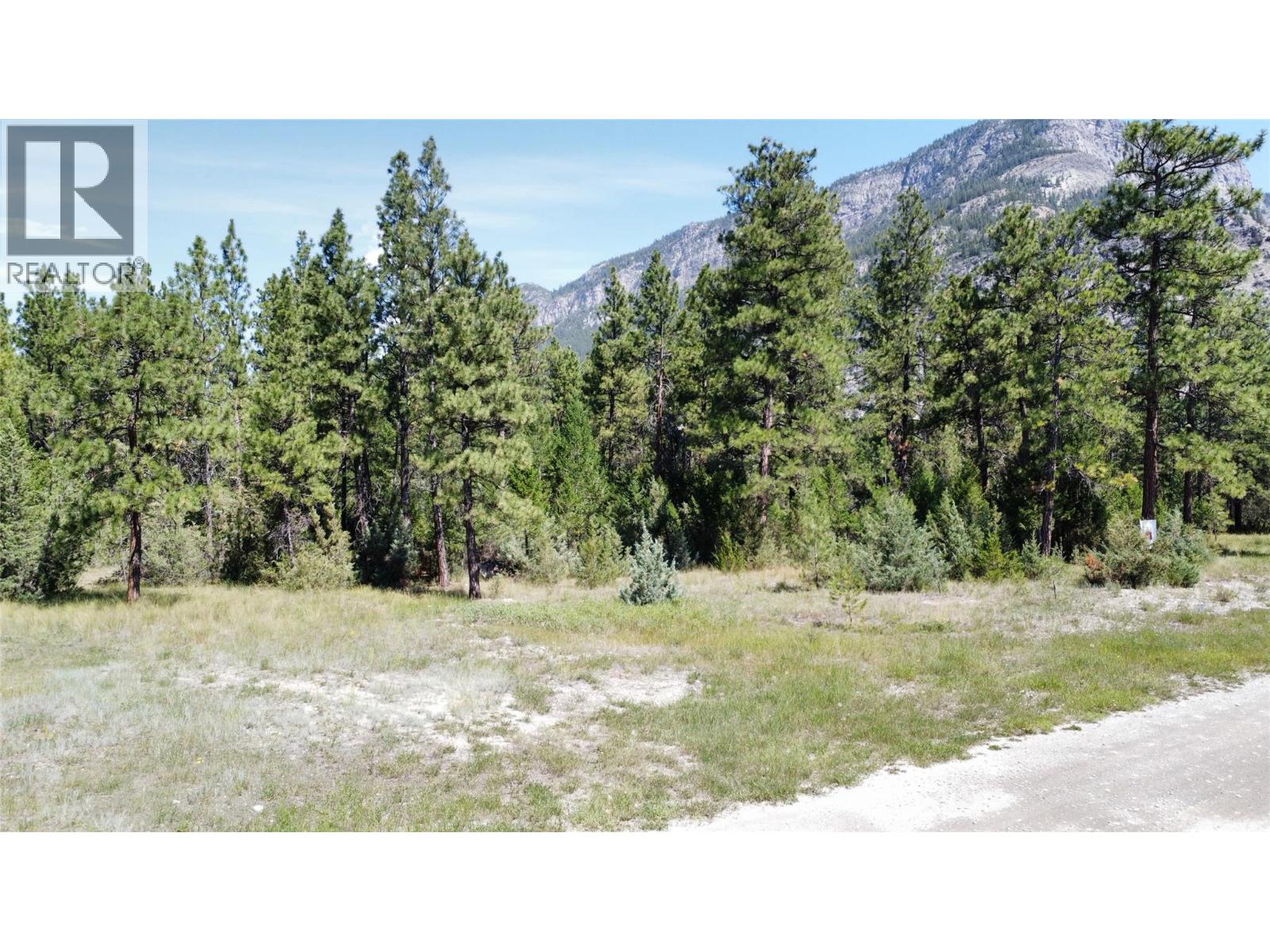 Lot 1 Tamarack Street, Canal Flats, British Columbia  V0B 1B0 - Photo 42 - 10329784
