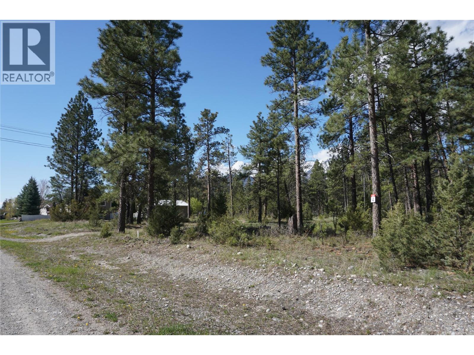 Lot 1 Tamarack Street, Canal Flats, British Columbia  V0B 1B0 - Photo 49 - 10329784