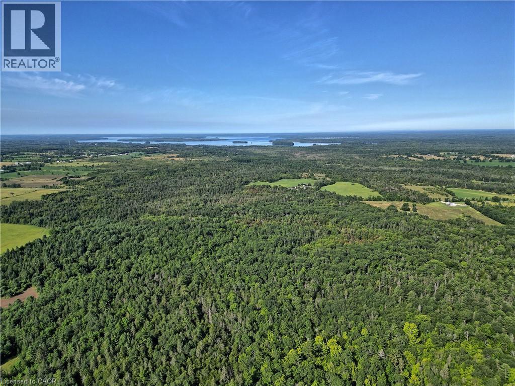 1058 Northline Road, Kawartha Lakes, Ontario  K0M 1K0 - Photo 7 - 40697975