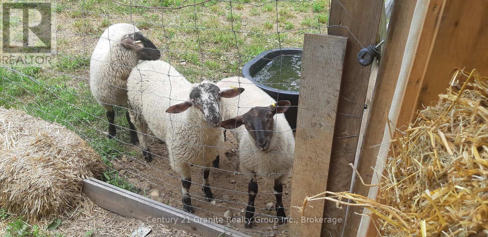 1071 Dardanelles Road, Dysart Et Al (Dudley), Ontario  K0M 1S0 - Photo 46 - X12352219