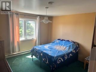 2 Bannisters Hill, Trinity East, Newfoundland & Labrador  A0C 2H0 - Photo 16 - 1288162