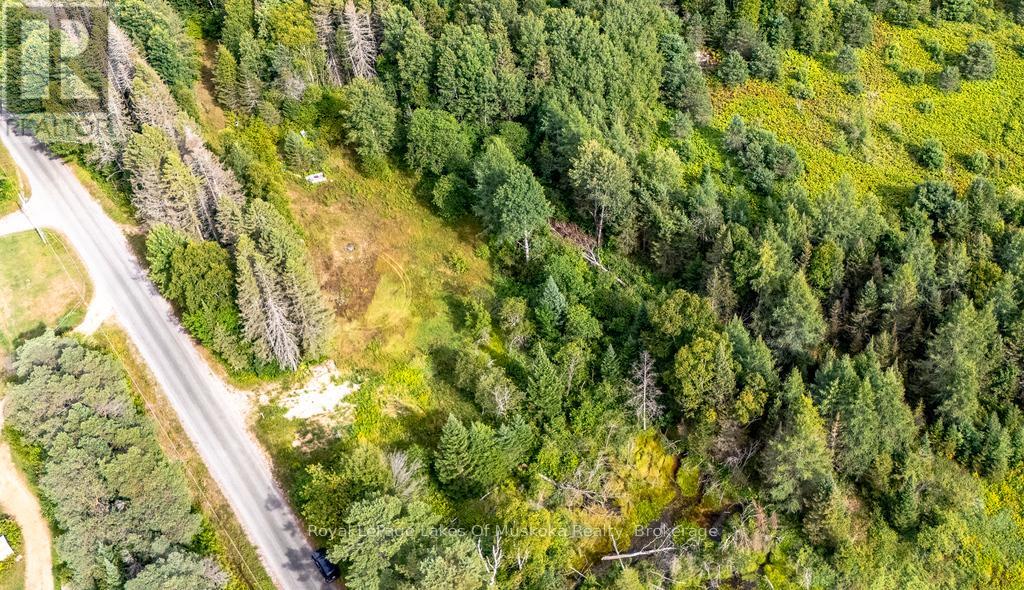 253 Goreville Road, Machar, Ontario  P0A 1X0 - Photo 11 - X12352388