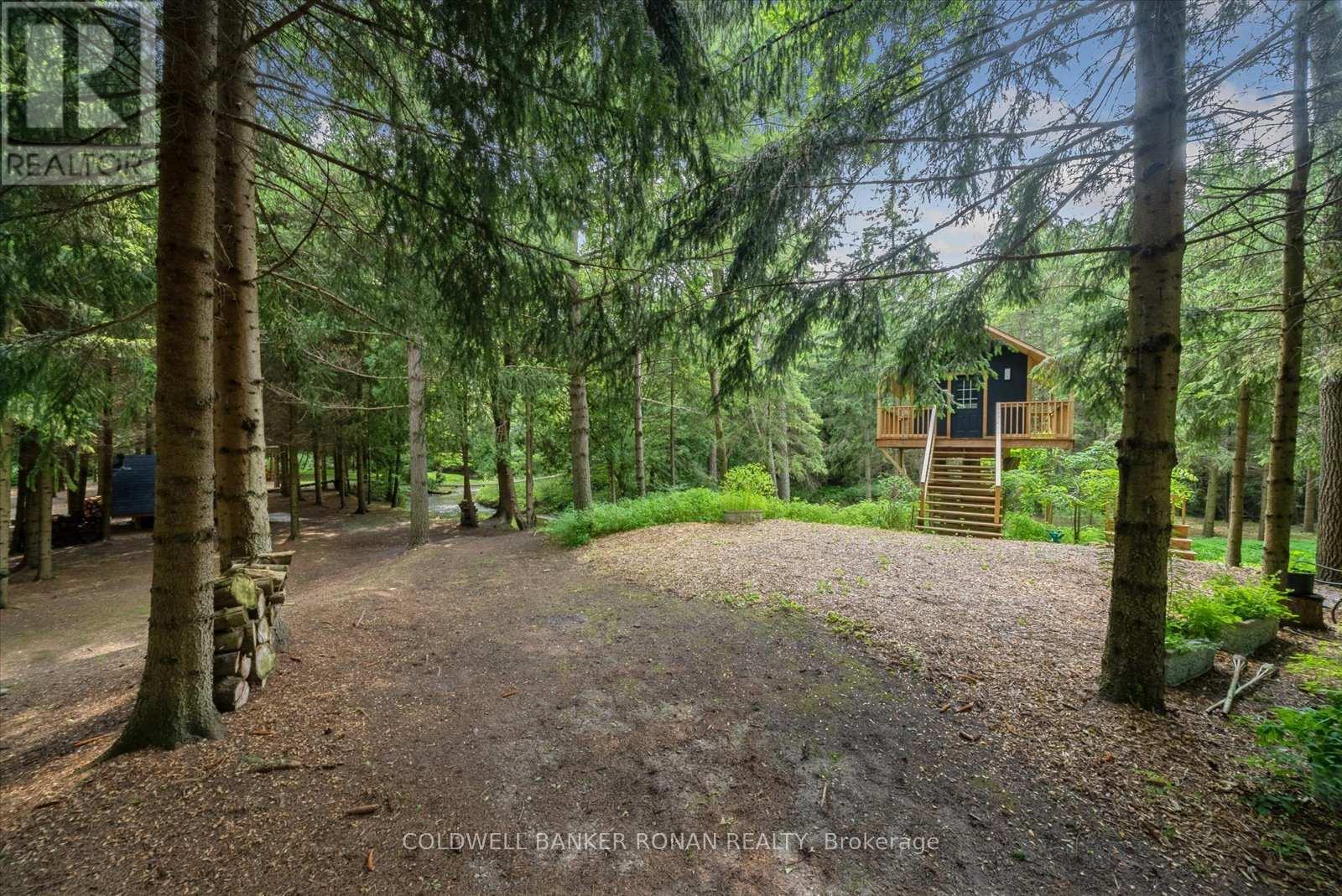 6591 6th Line, New Tecumseth, Ontario  L0G 1W0 - Photo 44 - N12350980