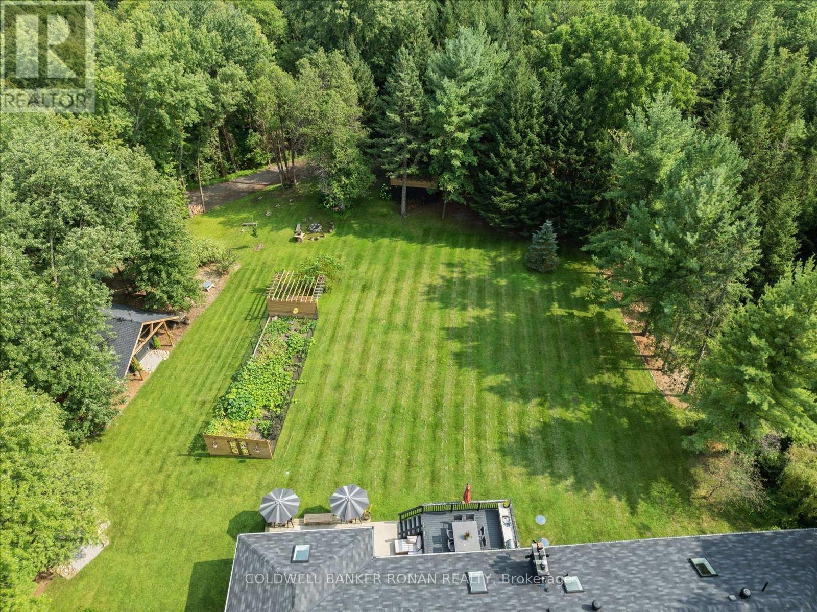 6591 6th Line, New Tecumseth, Ontario  L0G 1W0 - Photo 49 - N12350980