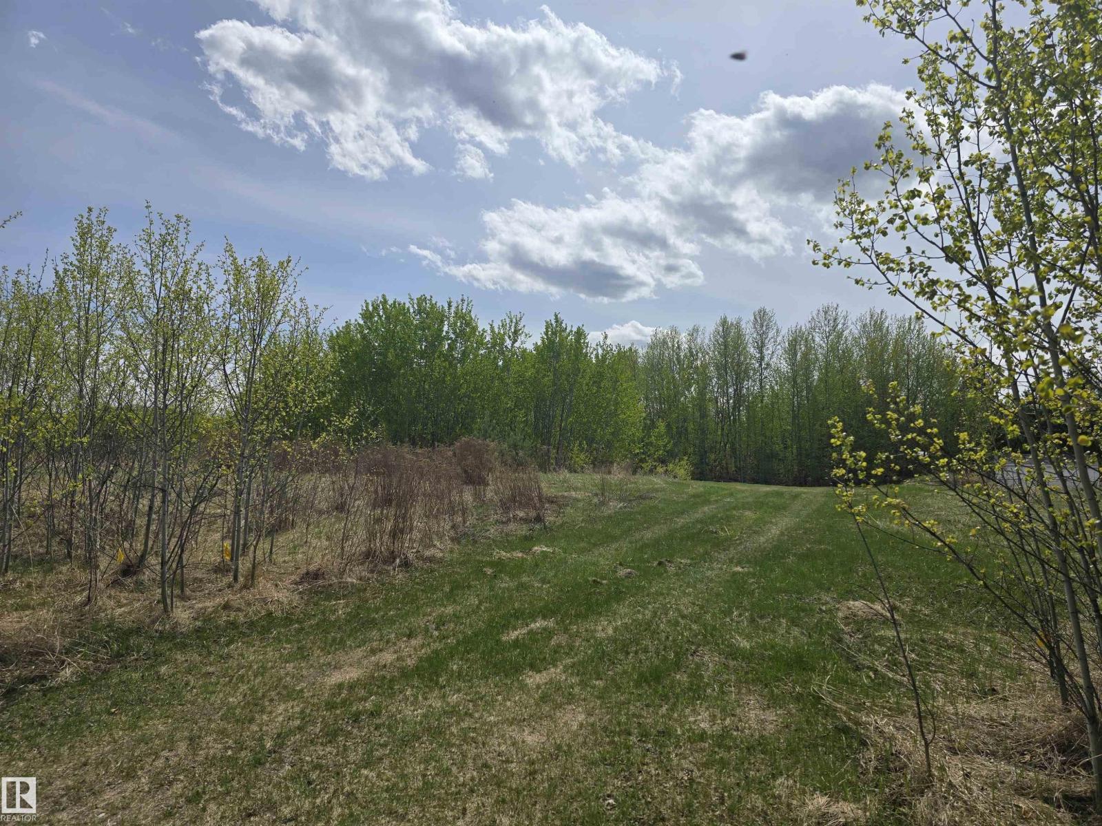 487 Lakeside Dr, Rural Parkland County, Alberta  T7Z 2T7 - Photo 10 - E4453239