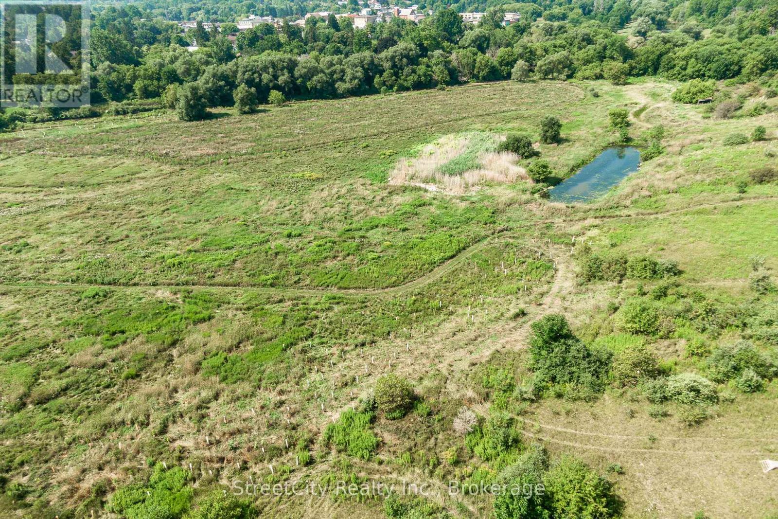 34 Nithview Court, Wilmot, Ontario N3A 2H4 - Photo 46 - X12352501