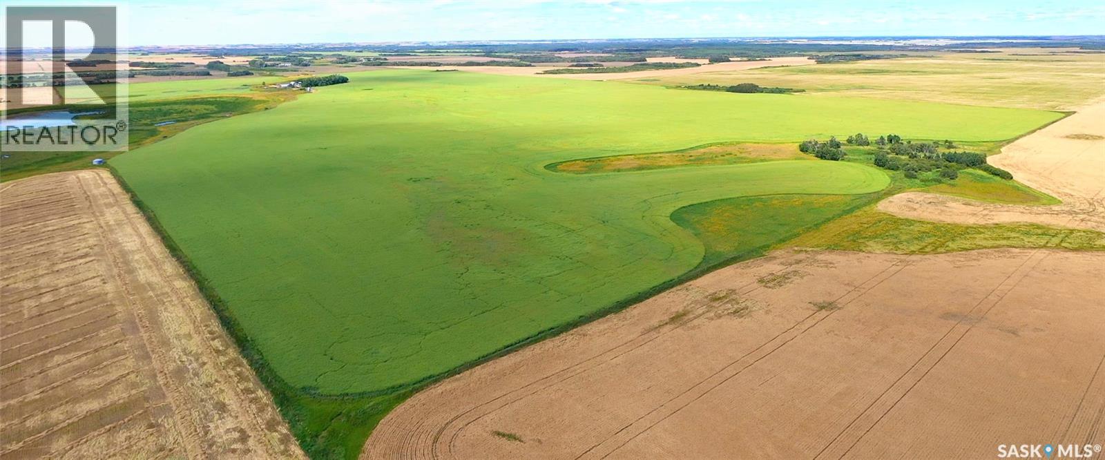 Elcapo Esterhuyse Farm, Elcapo Rm No. 154, Saskatchewan  S0G 2B0 - Photo 50 - SK015615