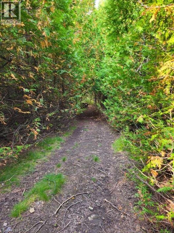 495144 Traverston Road, Markdale, Ontario  N0H 2C4 - Photo 13 - 40668763