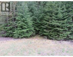 Lot B 3 Highway, salmo, British Columbia