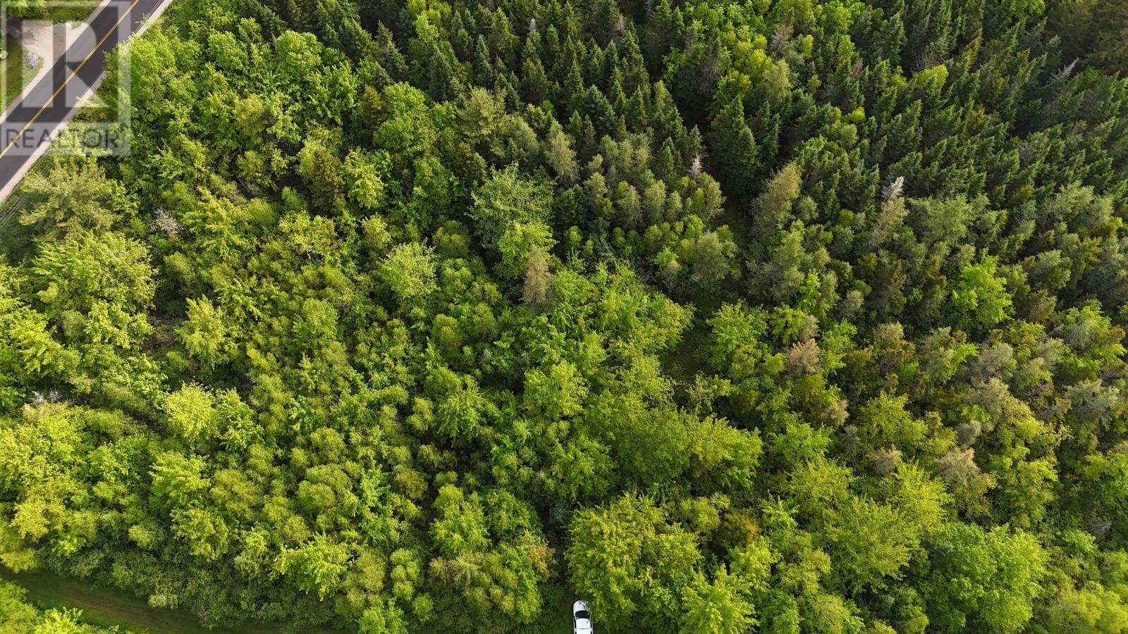 Lot New Russell Road, New Ross, Nova Scotia  B0J 2M0 - Photo 20 - 202520385