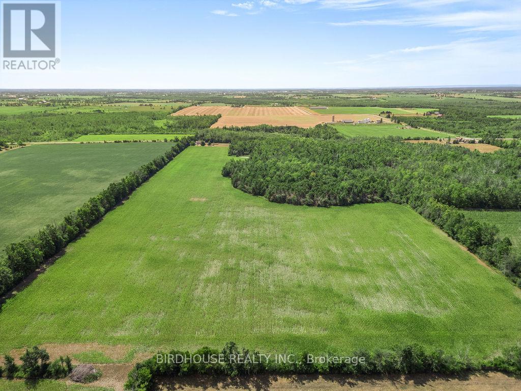 277 Sandhills Road, Kawartha Lakes, Ontario  K0M 2T0 - Photo 49 - X12347374