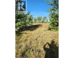 225 SWEETS CORNER Road, Selkirk, Ontario