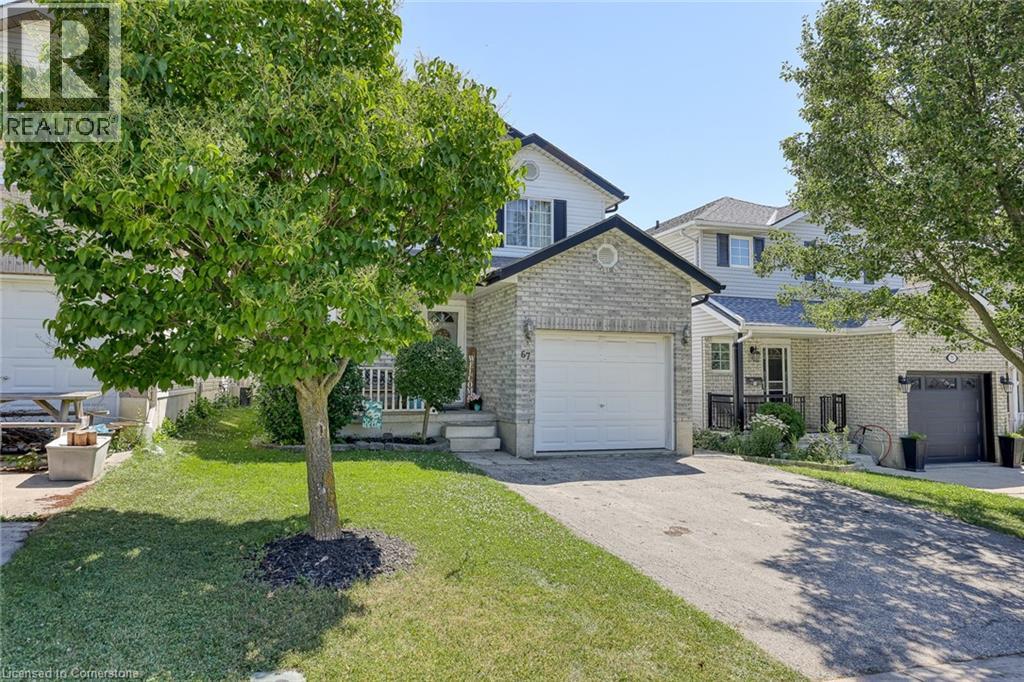Property at 67 STAFFORD Street image 4