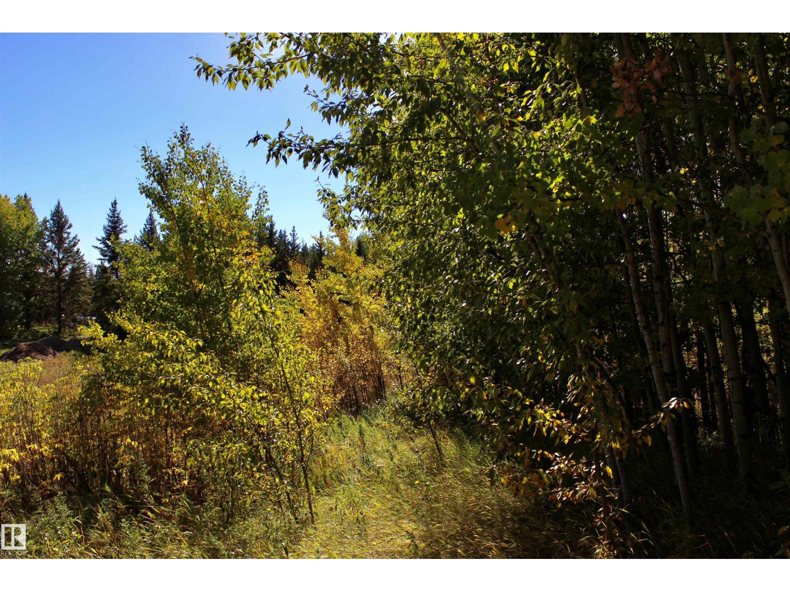#113 50529 Rge Road 21, Rural Parkland County, Alberta  T0E 2N4 - Photo 13 - E4434531