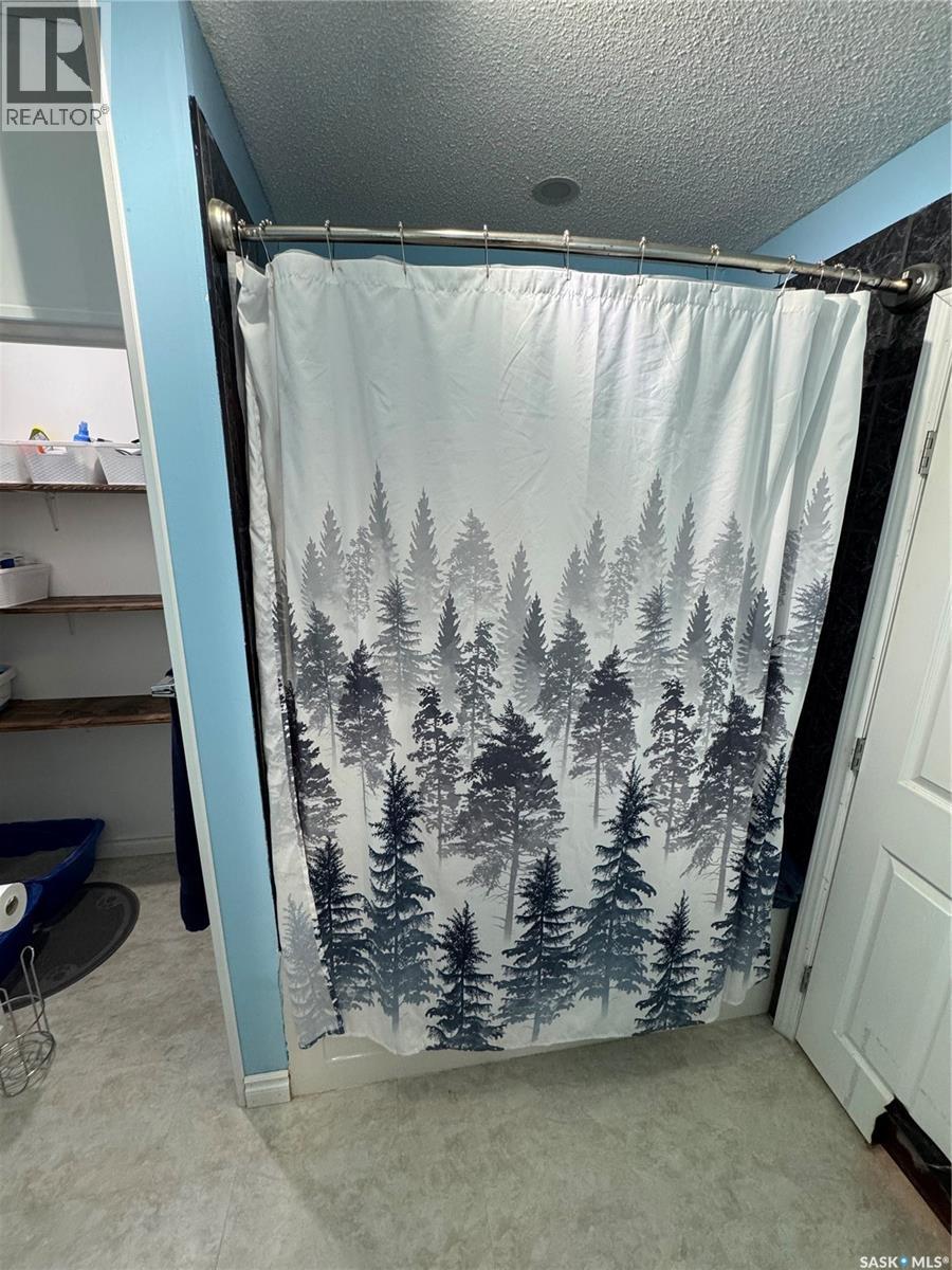 116 Elizabeth Avenue, Naicam, Saskatchewan  S0K 2Z0 - Photo 25 - SK015953