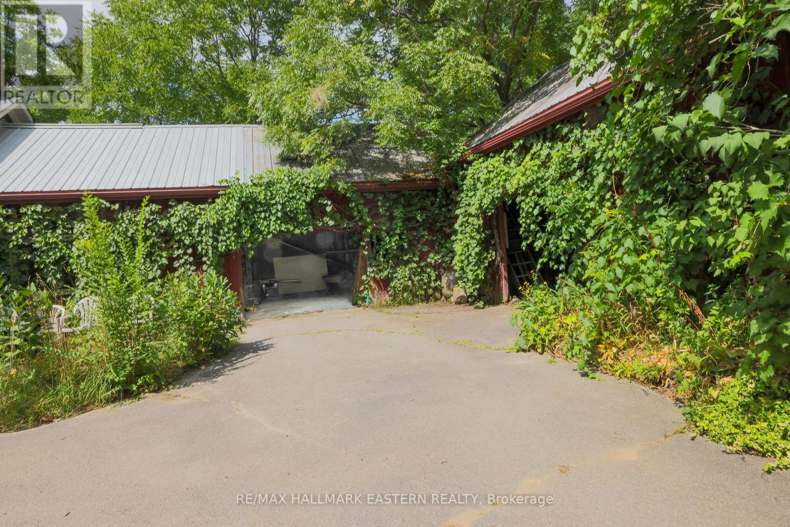 4372 County Road 29, Douro-Dummer, Ontario  K0L 2H0 - Photo 30 - X12353098