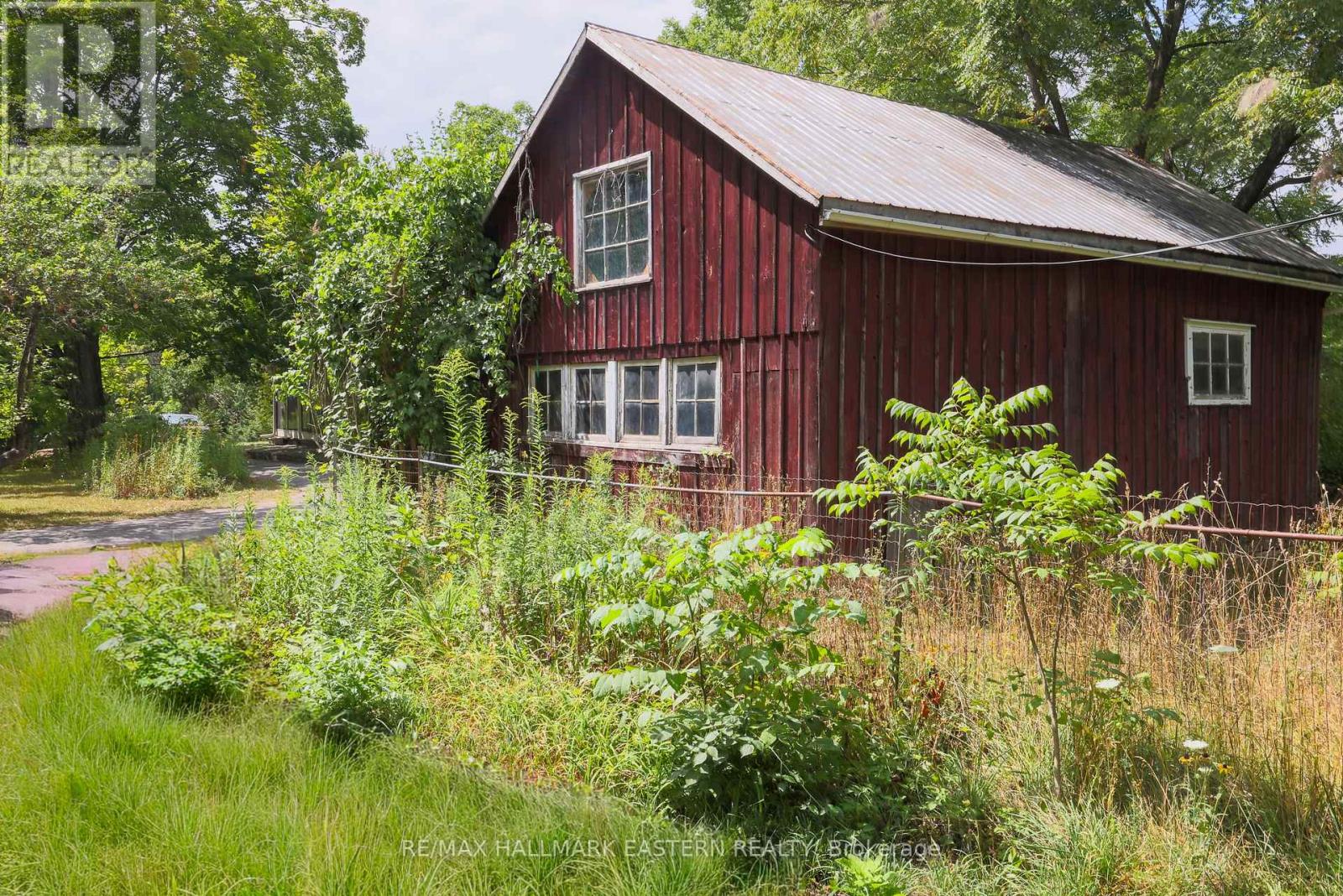4372 County Road 29, Douro-Dummer, Ontario  K0L 2H0 - Photo 31 - X12353098