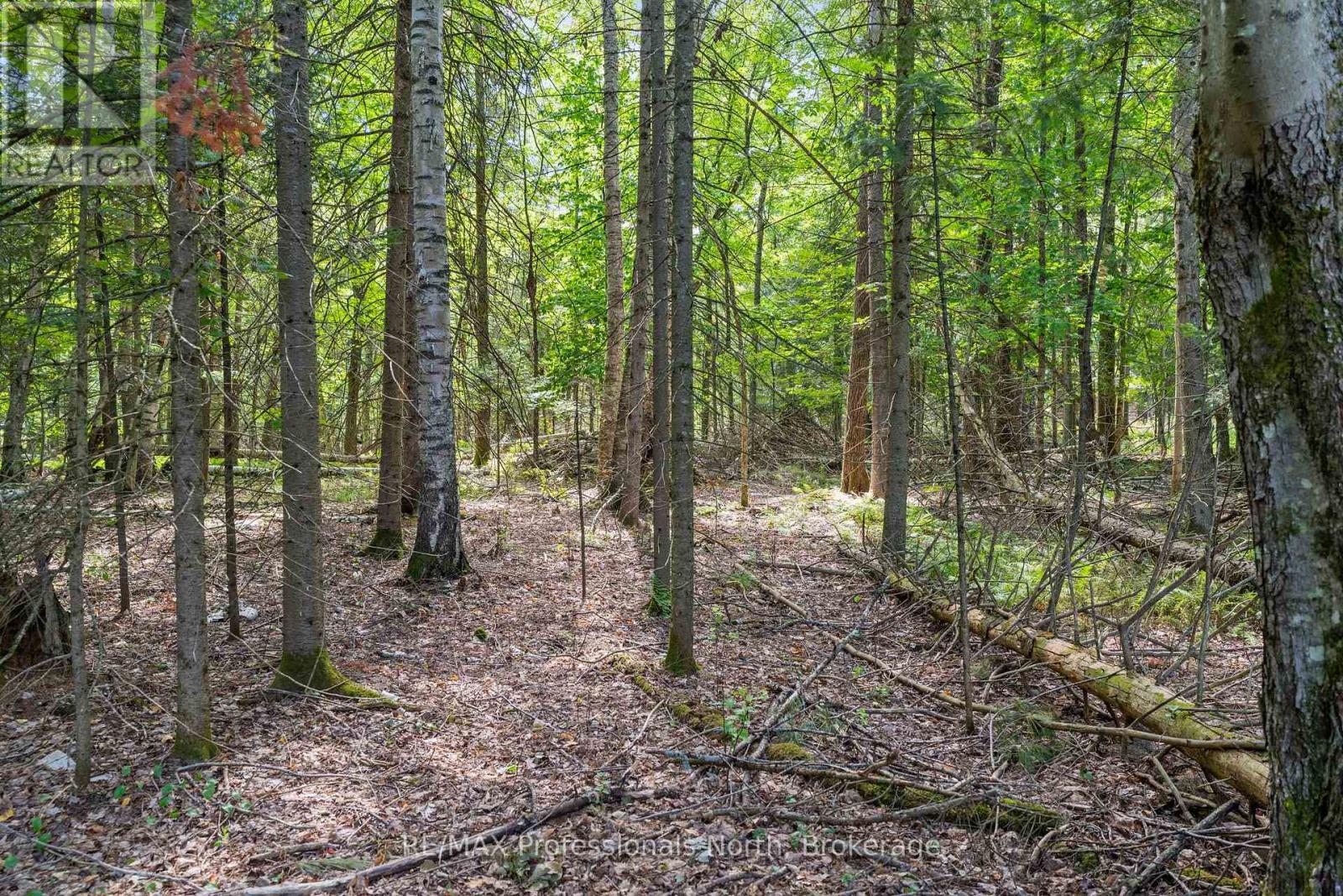 1076 Angel Road, Dysart Et Al, Ontario  K0M 1S0 - Photo 34 - X12353290