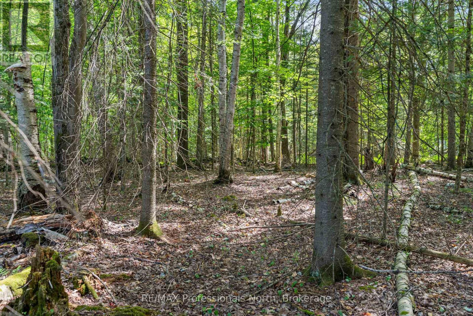 1076 Angel Road, Dysart Et Al, Ontario  K0M 1S0 - Photo 35 - X12353290