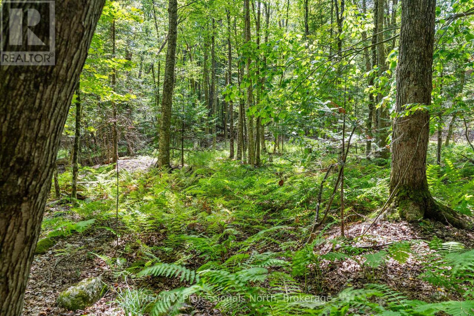 1076 Angel Road, Dysart Et Al, Ontario  K0M 1S0 - Photo 37 - X12353290