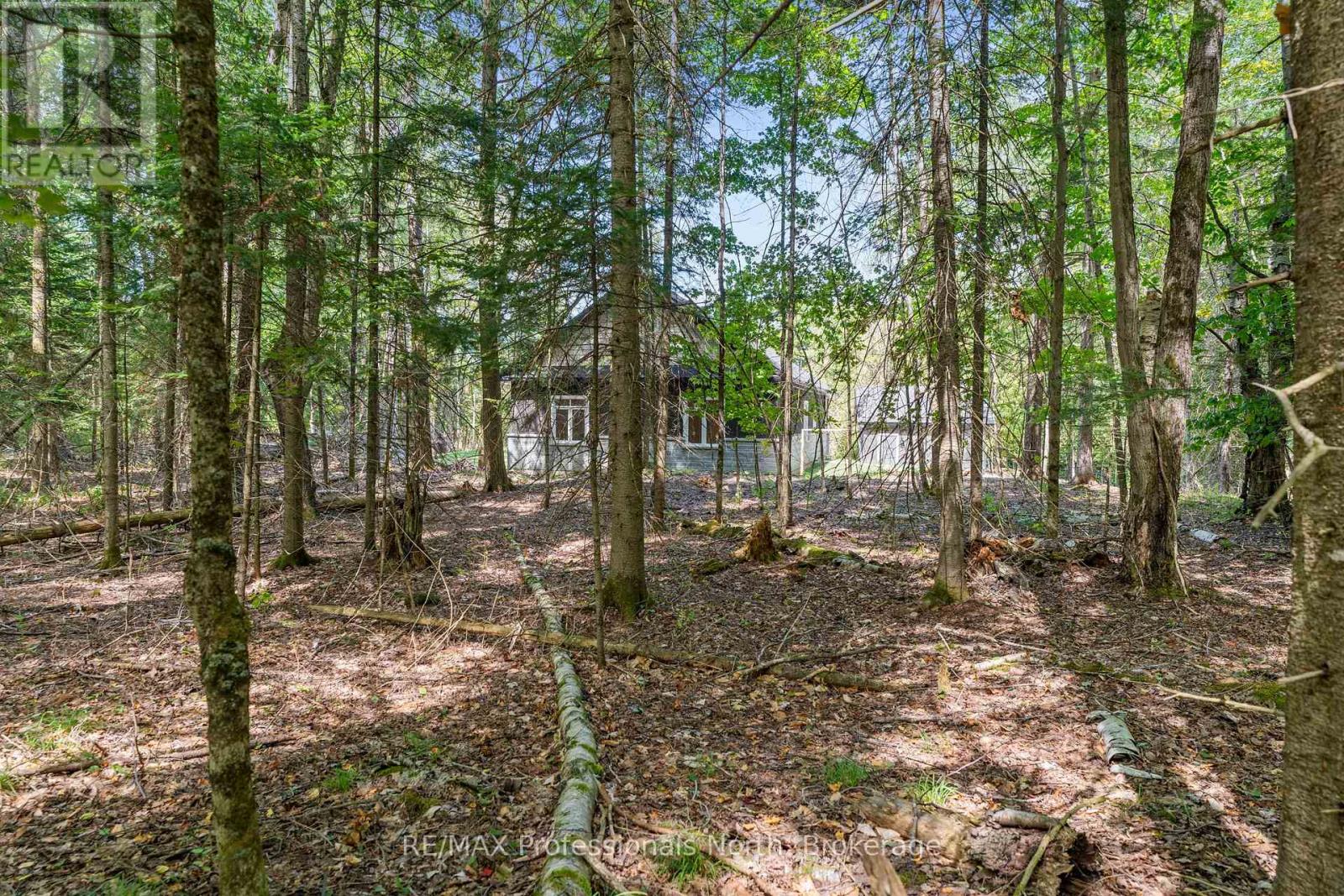 1076 Angel Road, Dysart Et Al, Ontario  K0M 1S0 - Photo 38 - X12353290