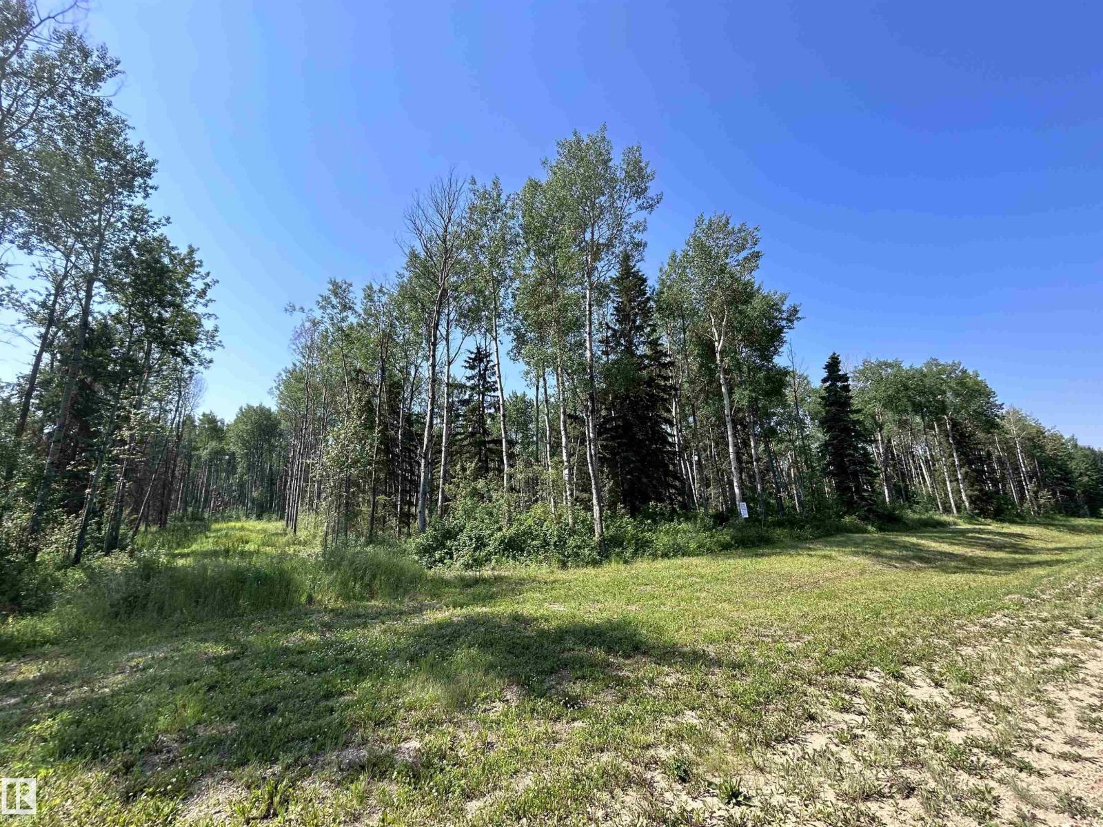 Lot 3 Forest Road (RR 214), Rural Athabasca County, Alberta