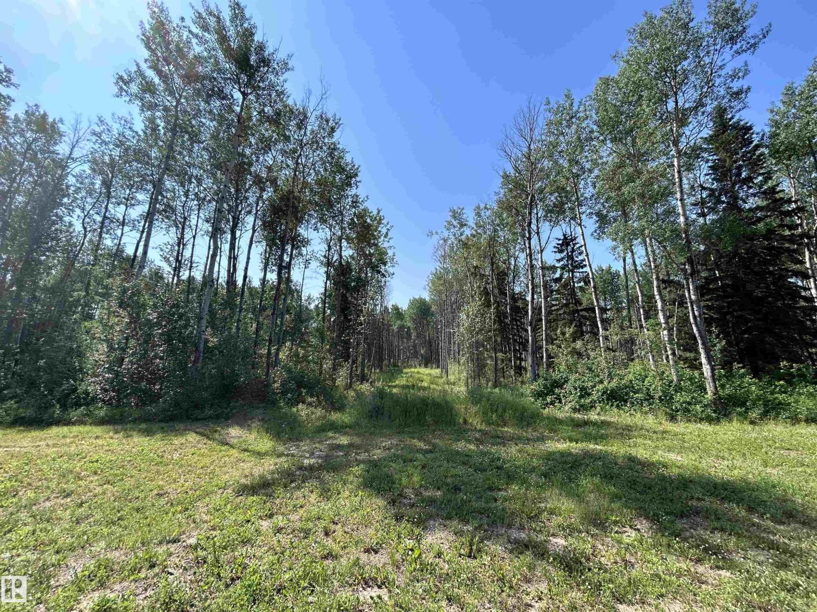 Lot 3 Forest Road (Rr 214), Rural Athabasca County, Alberta  T9S 1C4 - Photo 4 - E4453703