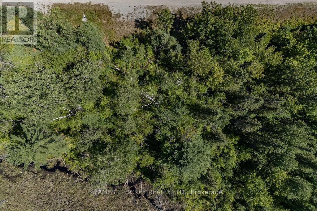 31755 Highway 17 Highway, Laurentian Hills, Ontario  K0J 1J0 - Photo 10 - X12353442
