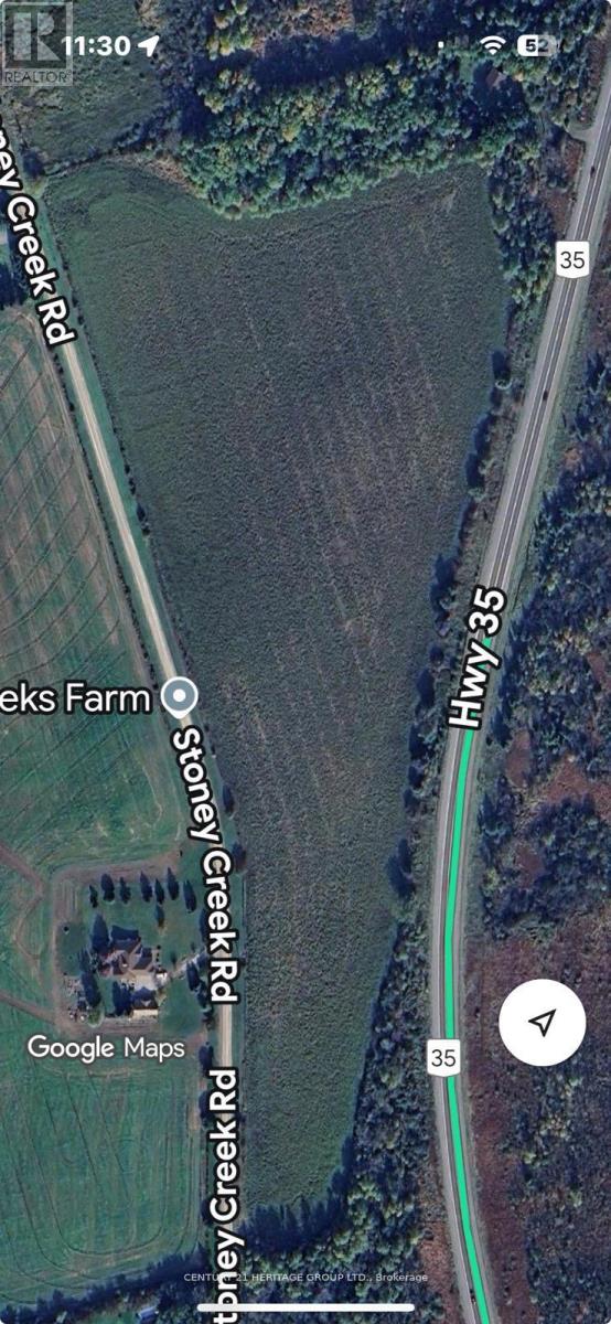 4 Stoney Creek Road E, Kawartha Lakes (Ops), Ontario  K9V 4R4 - Photo 1 - X12353364