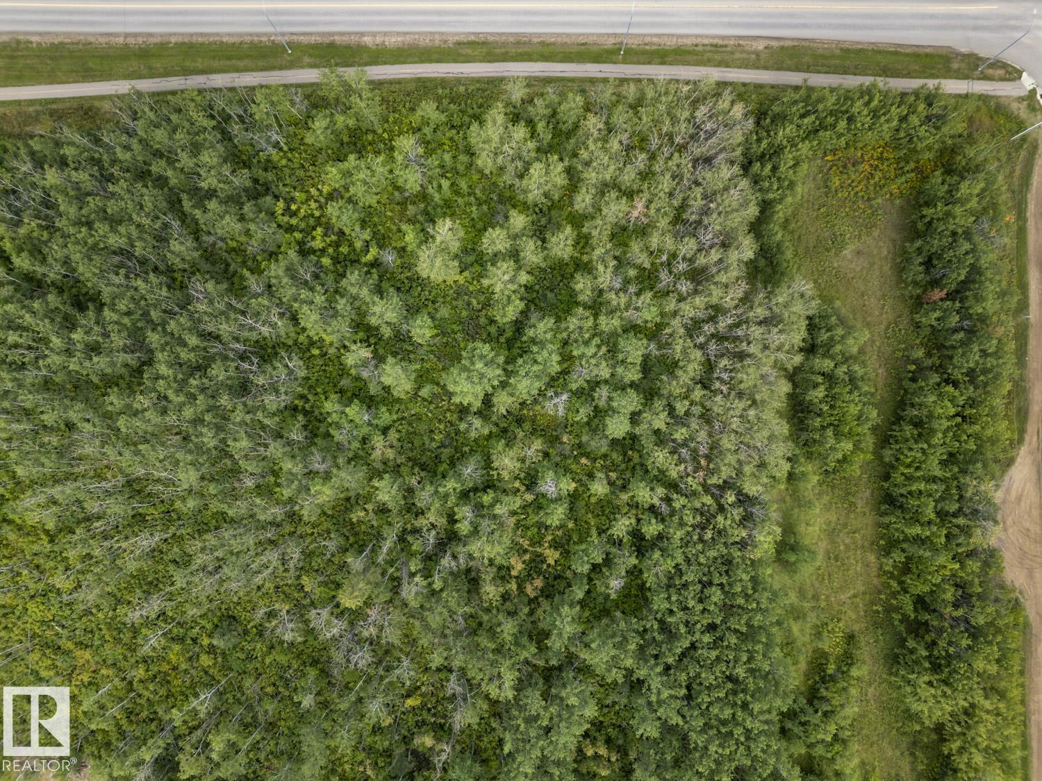 1701 16 St, Cold Lake, Alberta  T9M 0G7 - Photo 7 - E4453709