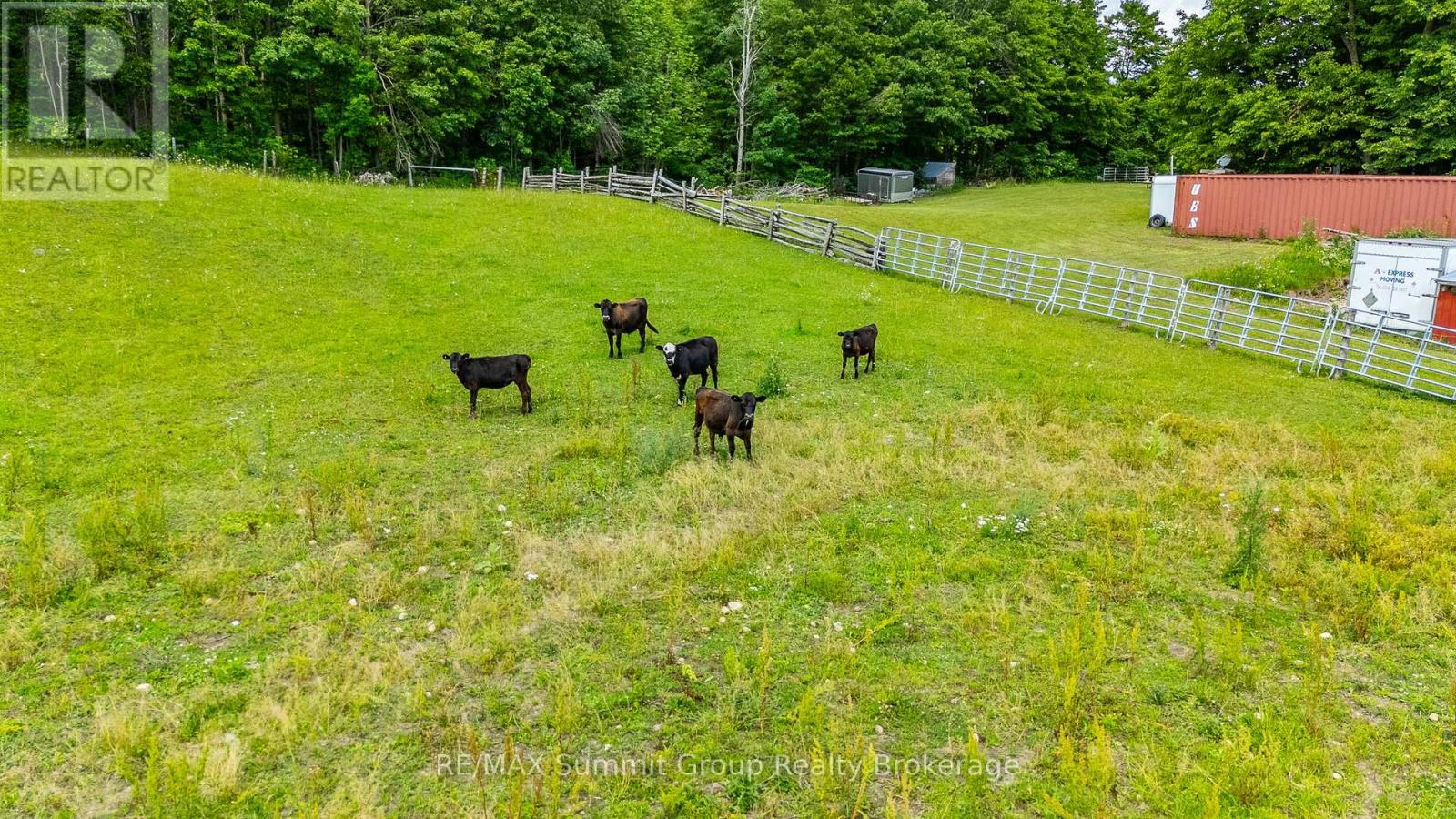 554014 Road 55, Grey Highlands, Ontario  N0C 1M0 - Photo 40 - X12353427