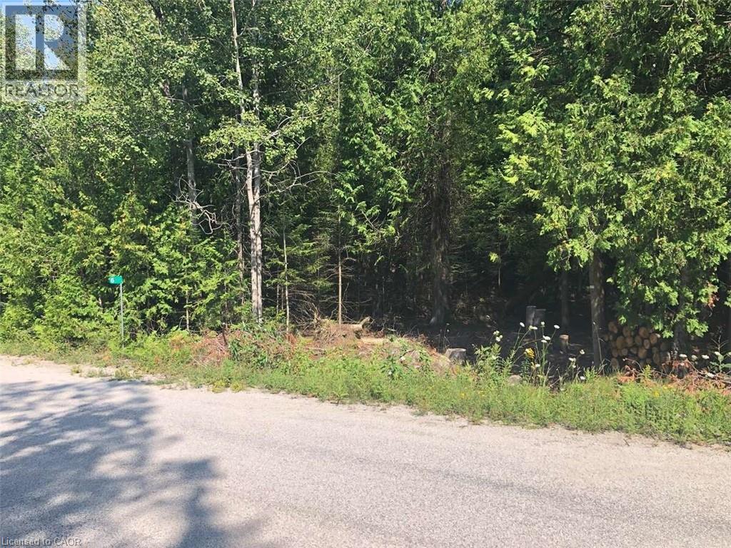 6 Dunn Street, Lion's Head, Ontario  N0H 1W0 - Photo 16 - 40632758