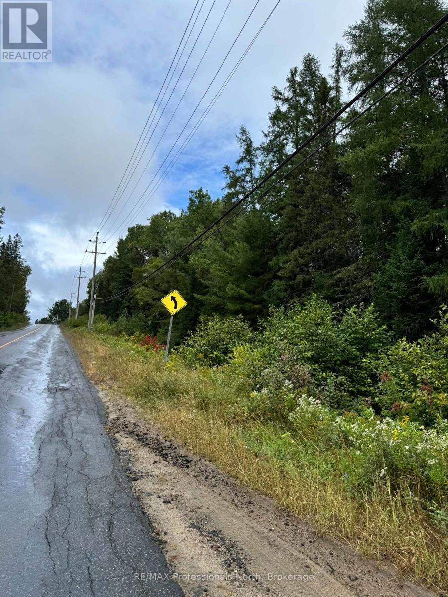 0 592, Perry (Emsdale), Ontario  P0A 1J0 - Photo 2 - X12353623