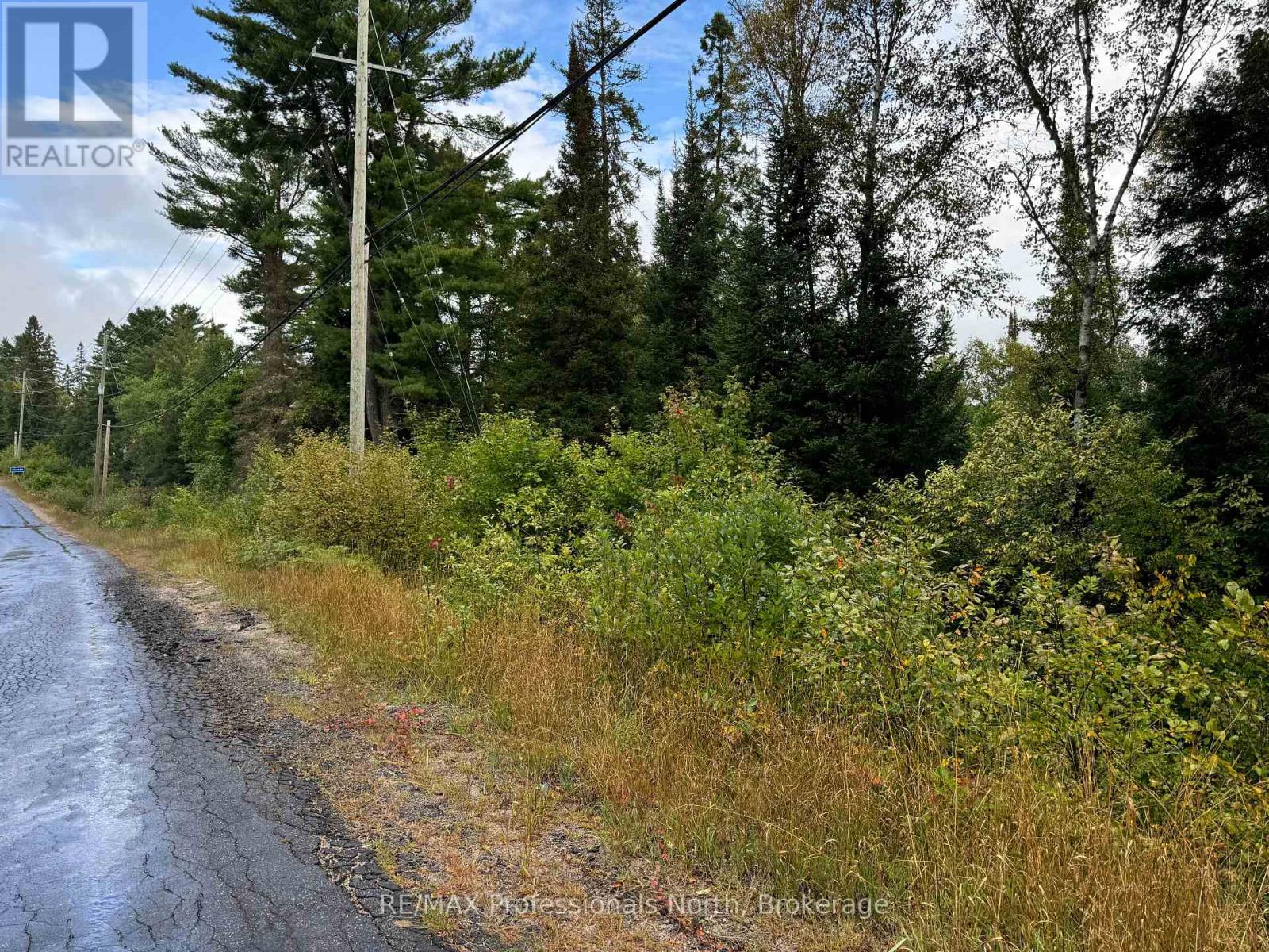 0 592, Perry (Emsdale), Ontario  P0A 1J0 - Photo 4 - X12353623