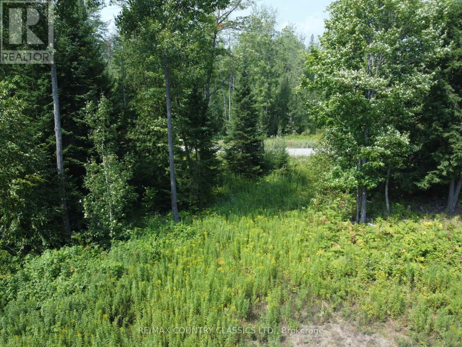 000 Babinski Road, Madawaska Valley, Ontario  K0J 1B0 - Photo 2 - X12353696