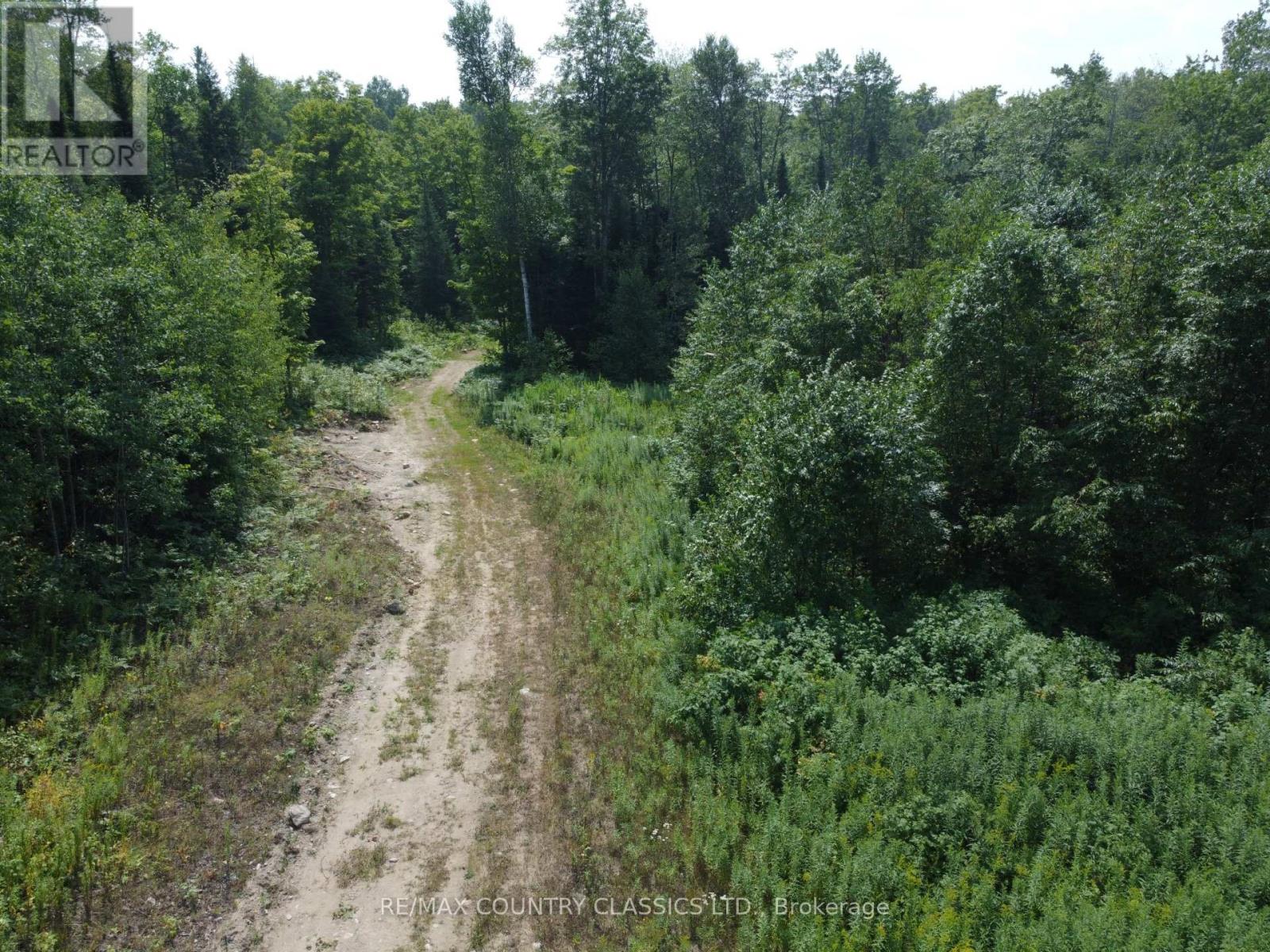 000 Babinski Road, Madawaska Valley, Ontario  K0J 1B0 - Photo 3 - X12353696