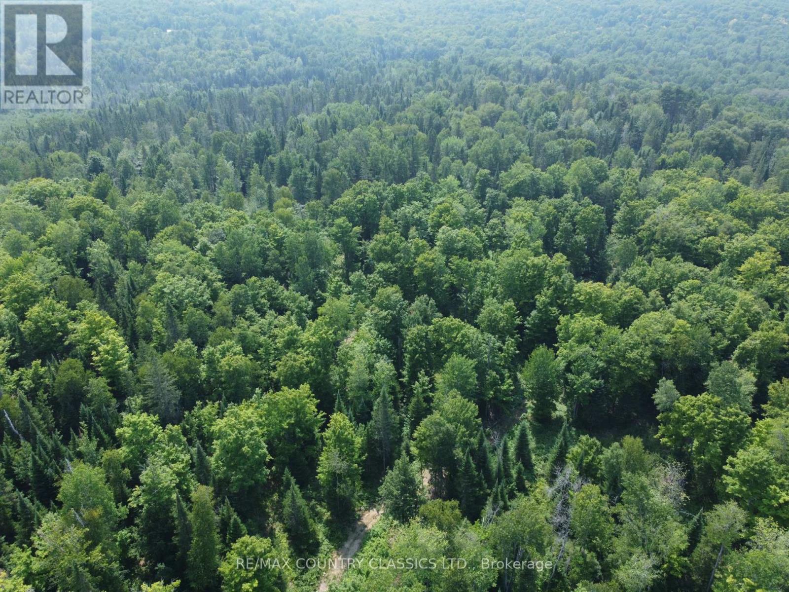 000 Babinski Road, Madawaska Valley, Ontario  K0J 1B0 - Photo 4 - X12353696