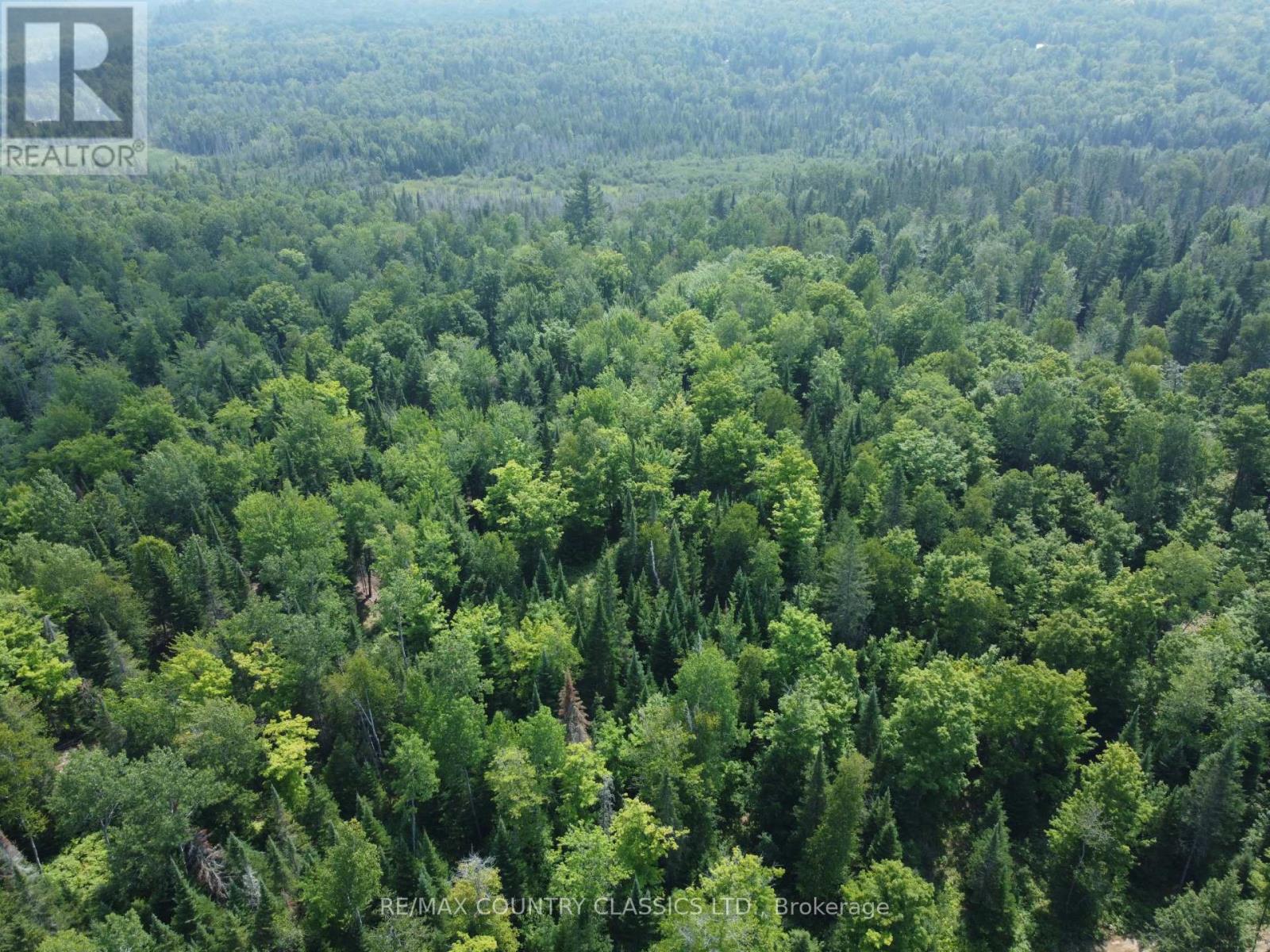 000 Babinski Road, Madawaska Valley, Ontario  K0J 1B0 - Photo 5 - X12353696