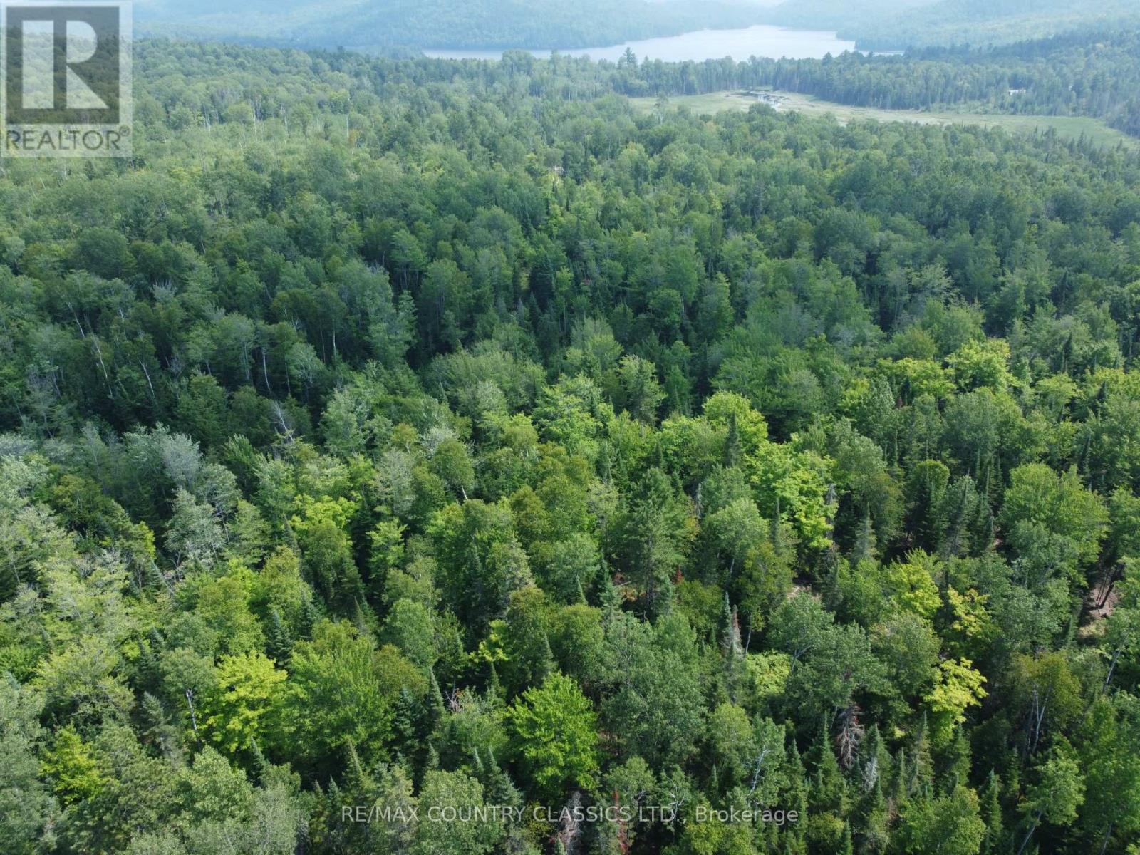 000 Babinski Road, Madawaska Valley, Ontario  K0J 1B0 - Photo 6 - X12353696