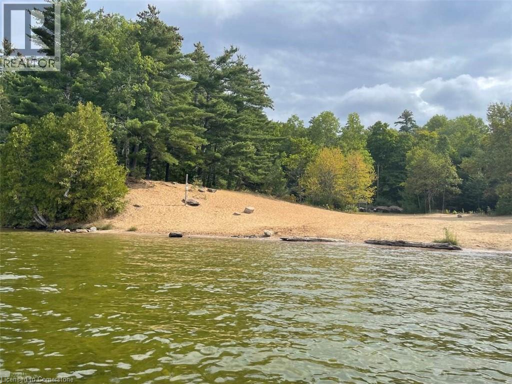 100 Kilgore Island, Cloyne, Ontario  K0H 1K0 - Photo 5 - 40659368