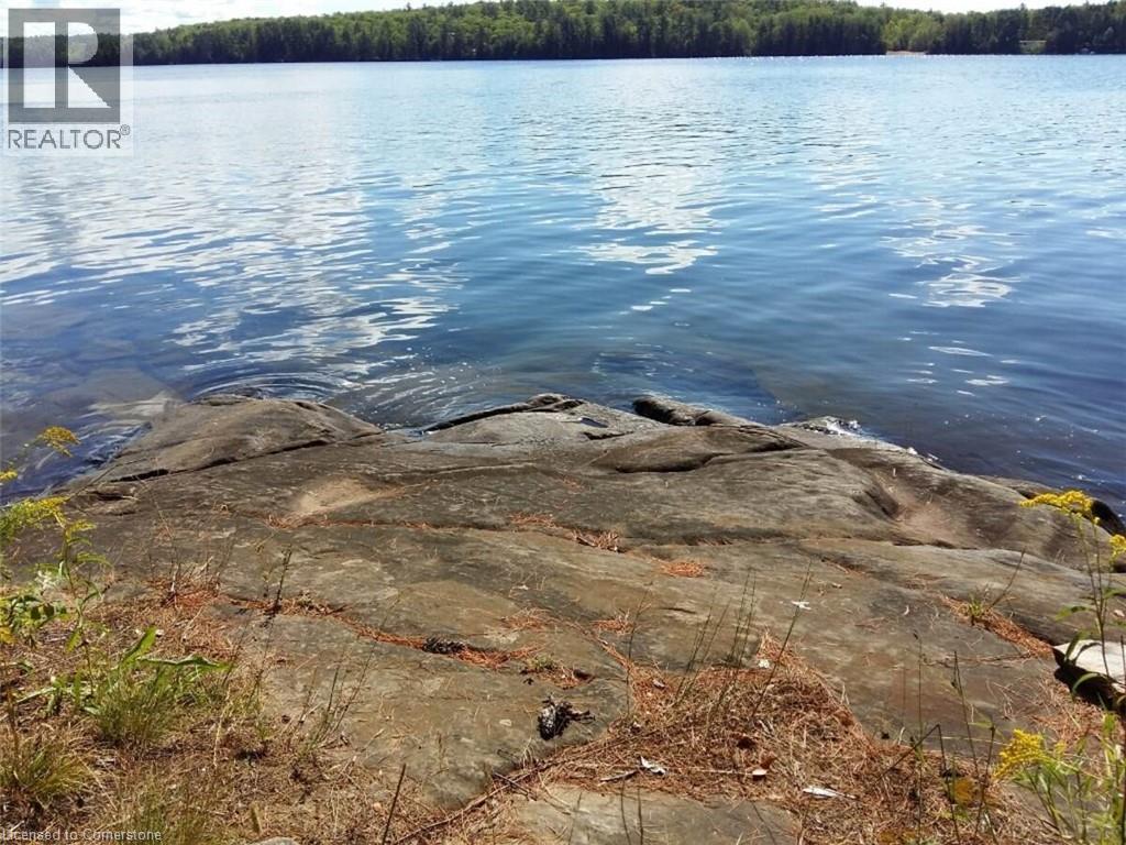 100 Kilgore Island, Cloyne, Ontario  K0H 1K0 - Photo 10 - 40659368