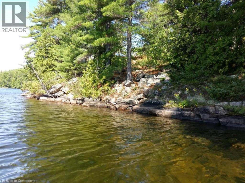100 Kilgore Island, Cloyne, Ontario  K0H 1K0 - Photo 13 - 40659368