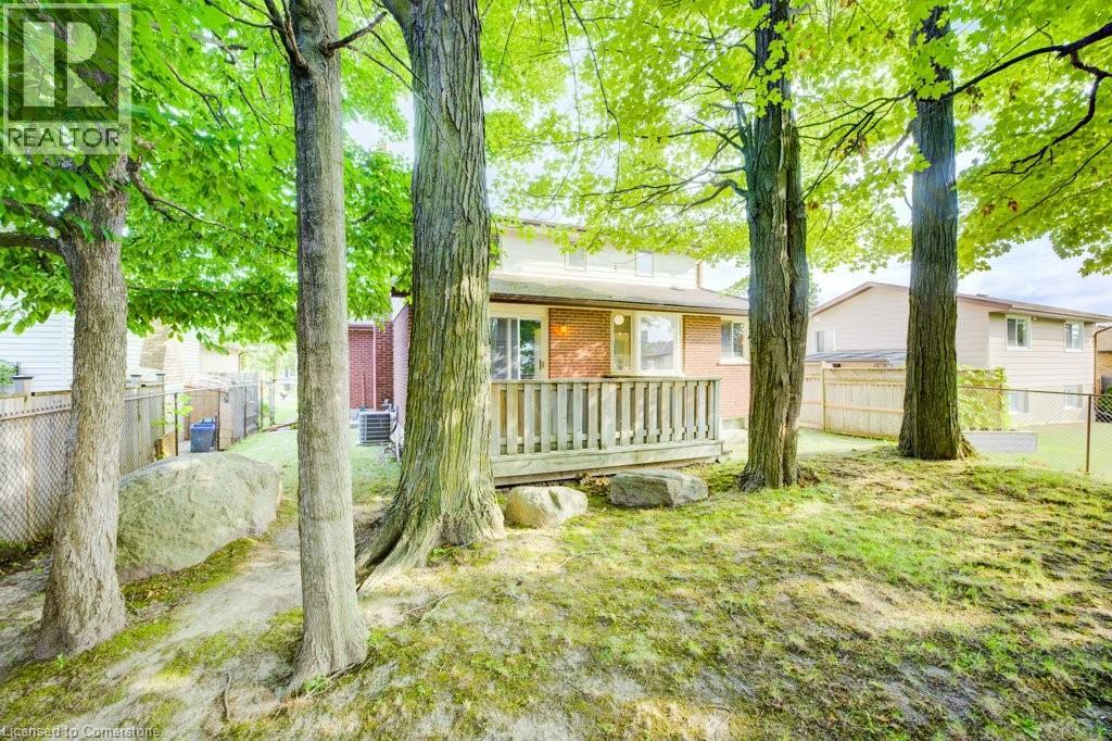 71 Ripley Crescent, Kitchener, Ontario  N2N 1W2 - Photo 33 - 40755148